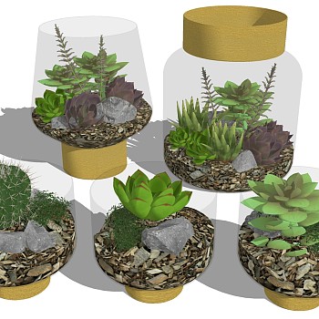 现代时尚玻璃瓶里的多肉植物sketchup草图模型下载