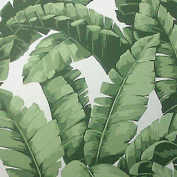 北欧现代小清晰植物叶子绿叶装饰画挂画 (26)