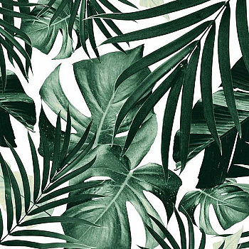 北欧现代小清晰植物叶子绿叶装饰画挂画 (15)