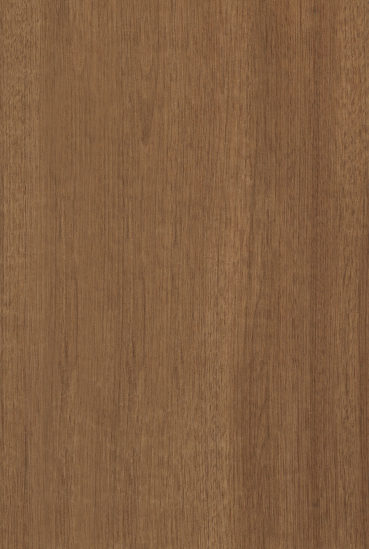 (18)木头老旧木板原木色材质贴图下载 松木(9)松木木纹木板贴图 (161)
