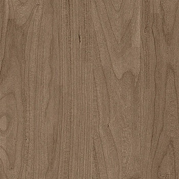 木纹贴图木板贴图 (58)