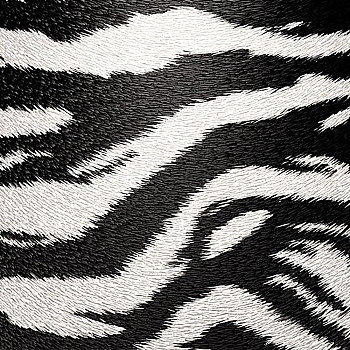 动物毛皮地毯皮毛斑马纹地毯 (28)