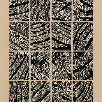 动物毛皮地毯皮毛斑马纹图案地毯 (68)