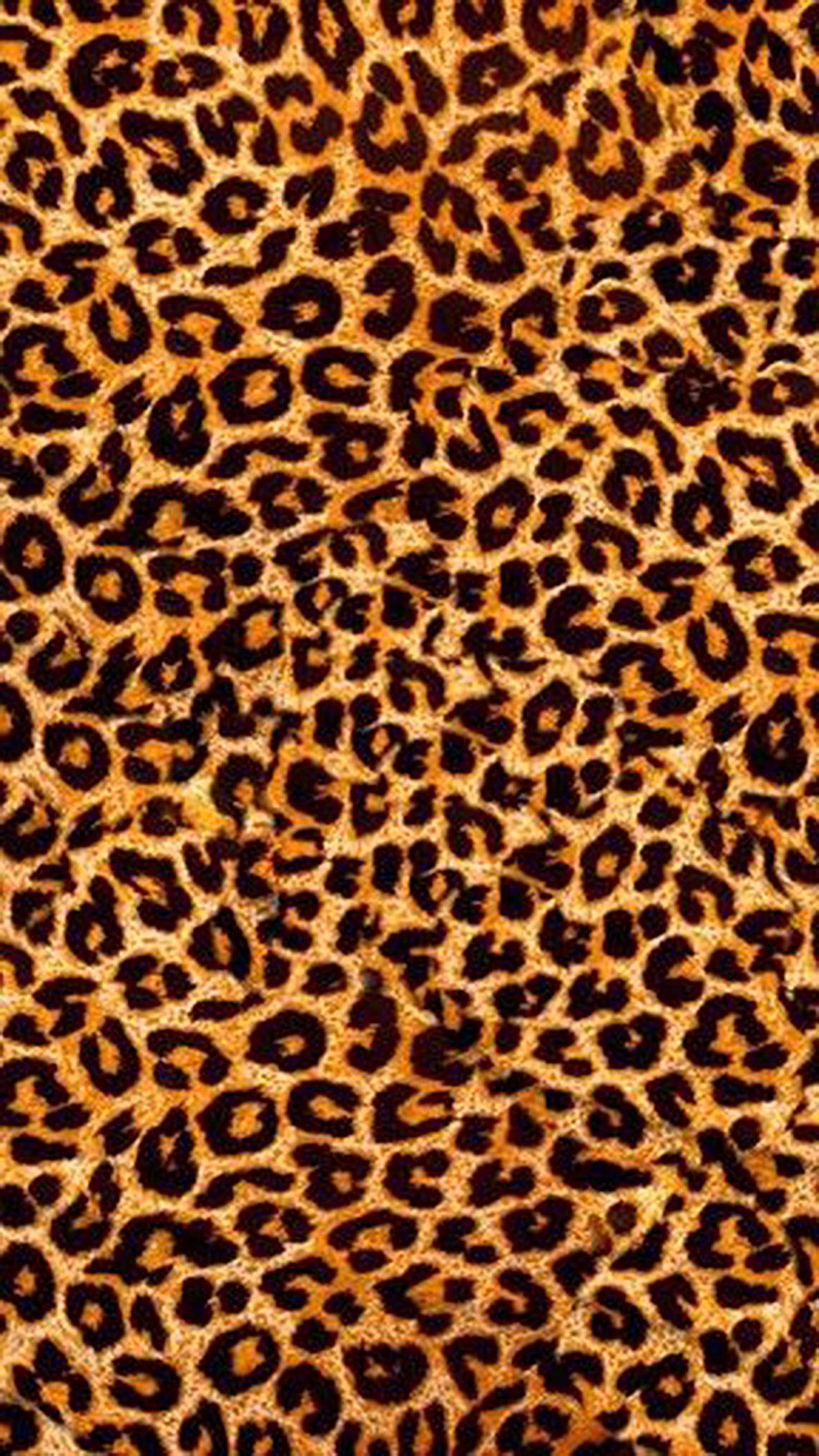 动物毛皮地毯皮毛豹纹图案地毯 (166)