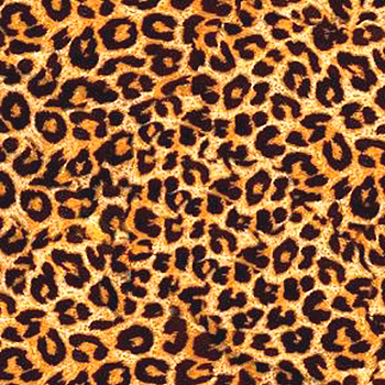 动物毛皮地毯皮毛豹纹图案地毯 (166)