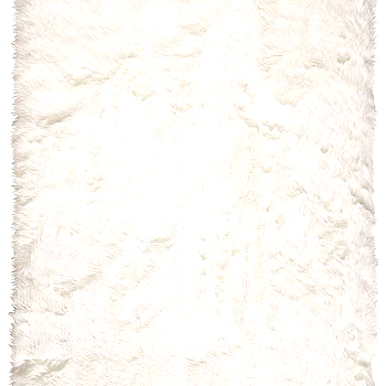 动物毛皮地毯皮毛地毯 (12)
