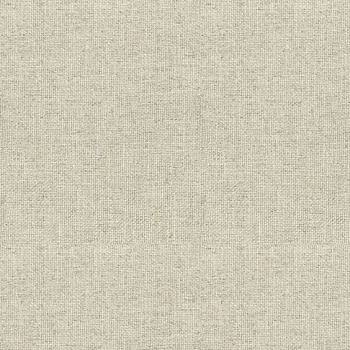 单色粗布麻布布纹布料壁纸壁布 (594)