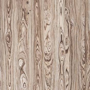 破旧原木大板粗糙木纹大纹木板木纹 a (100)
