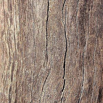 破旧原木大板粗糙木纹大纹木板木纹 a (53)
