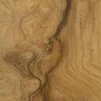 破旧原木大板粗糙木纹大纹木板木纹 (144)
