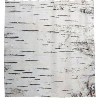 白桦树树皮材质贴图 (112)