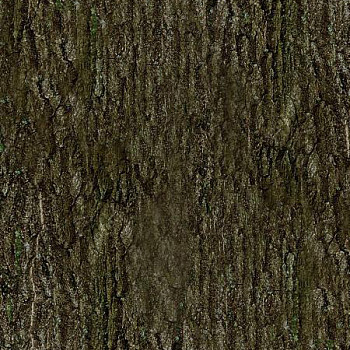 树皮材质贴图 (136)