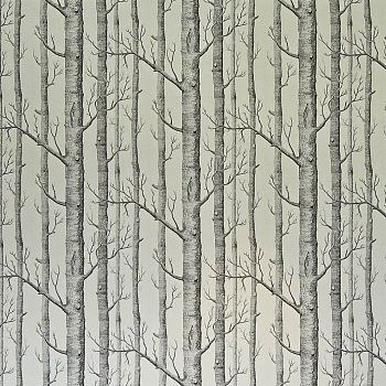 现代白桦树林儿童房彩绘手绘壁纸壁布 (3)