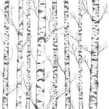 现代白桦树林儿童房彩绘手绘壁纸壁布 (9)
