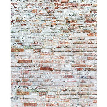 红砖墙墙砖材质贴图 (60)