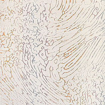 新中式抽象水纹波浪纹曲线等高线纹理地毯贴图 (30)