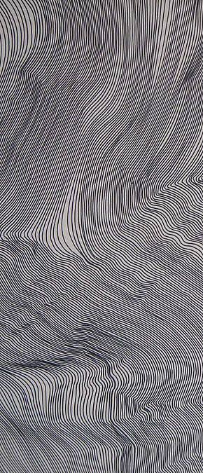 新中式抽象水纹波浪纹曲线等高线纹理地毯贴图 (32)