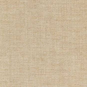 单色粗布麻布布纹布料壁纸壁布 (548)