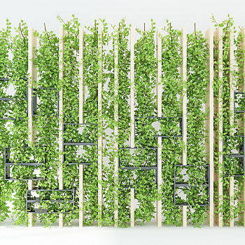H08-1112现代绿植墙藤蔓
