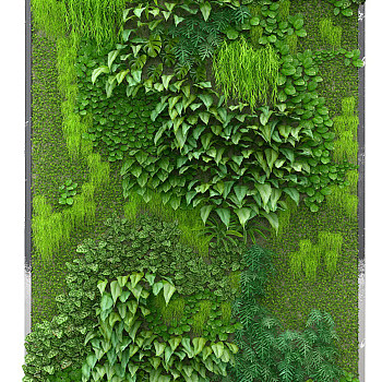 Z06-1119绿化墙植物墙