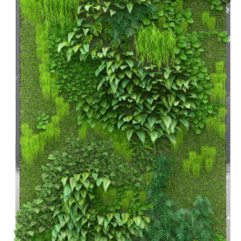 Z06-1119绿化墙植物墙