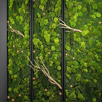 26苔藓植物墙