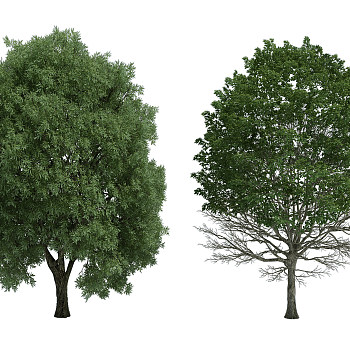H17-0718树