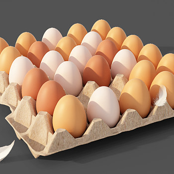 Z31-1122鸡蛋