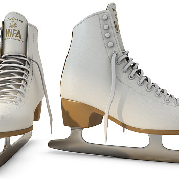 H14-0808溜冰鞋