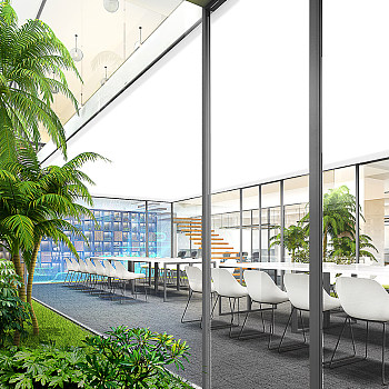 10-3现代开放会议室植物景观椰子树
