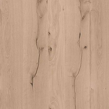 粗糙原木木纹贴图 (3)