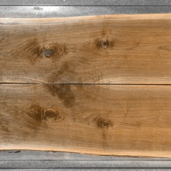 粗糙原木烂木头旧木头 (2)