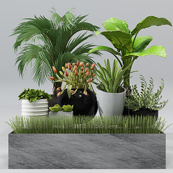 H08-0722现代绿植盆栽花池植物草花槽郁金香3d模型下载