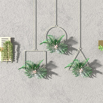 Z30-0713北欧植物隔板吊篮吊装植物隔板置物架阳台植物3d模型下载