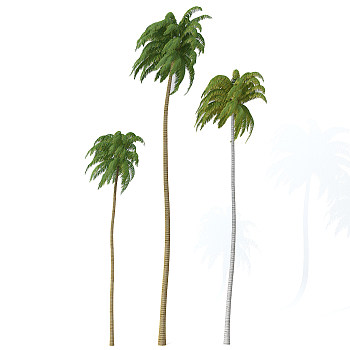 H115景观树椰子树3dmax模型下载