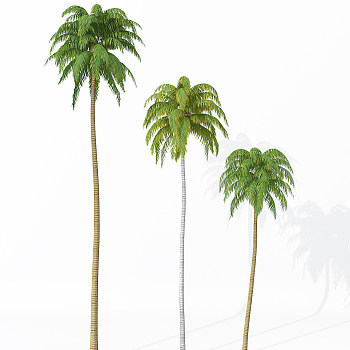 H114-0726景观树椰子树3dmax模型下载