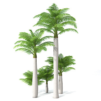 H119-0726景观树椰子树3dmax模型下载
