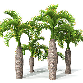 H64-0726景观树椰子树3dmax模型下载