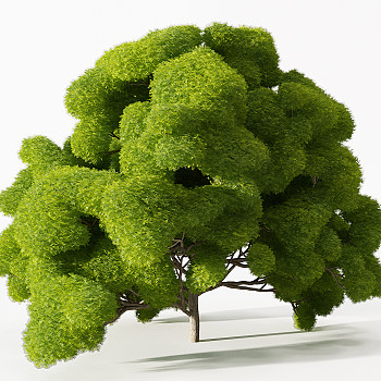 Z17-0720园林植物景观造型树方形圆形矮树3d模型下载