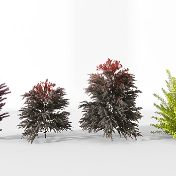 Z07-0720景观园林植物蕨类植物灌木3d模型下载