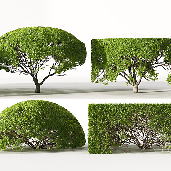 Z15-0722园林植物景观造型树方形圆形矮树3d模型下载