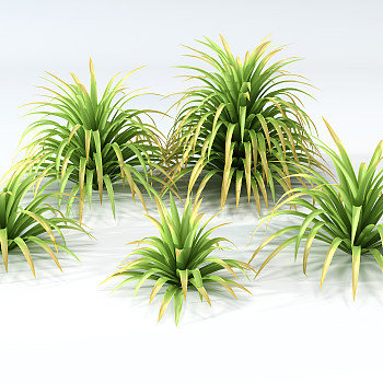H75-0726热带植物草3dmax模型下载