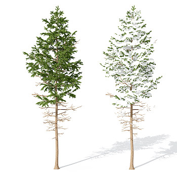 H53-0730景观植物树松柏树针叶植物雪景树3dmax模型下载 (2)