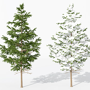 H53-0730景观植物树松柏树针叶植物雪景树3dmax模型下载 (1)