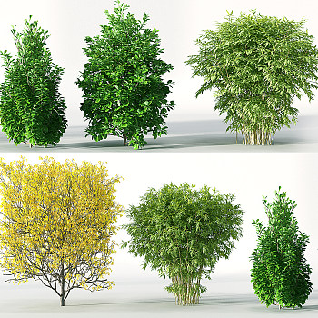 Z14-0722景观园林植物树矮树3d模型下载