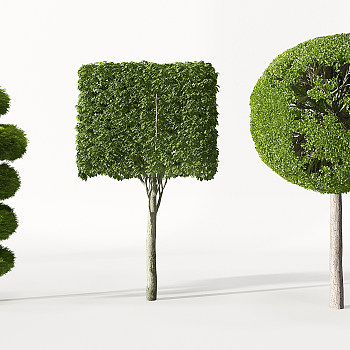 Z09-0720景观园林植物蕨类植物异形造型树3d模型下载