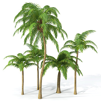 H69-0726景观树椰子树3dmax模型下载
