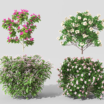 H62-0730景观植物树灌木花草3d模型下载