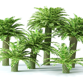 H72-0726景观树椰子树3dmax模型下载