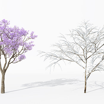 H63-0730景观植物树雪景树枯树干枝3d模型下载
